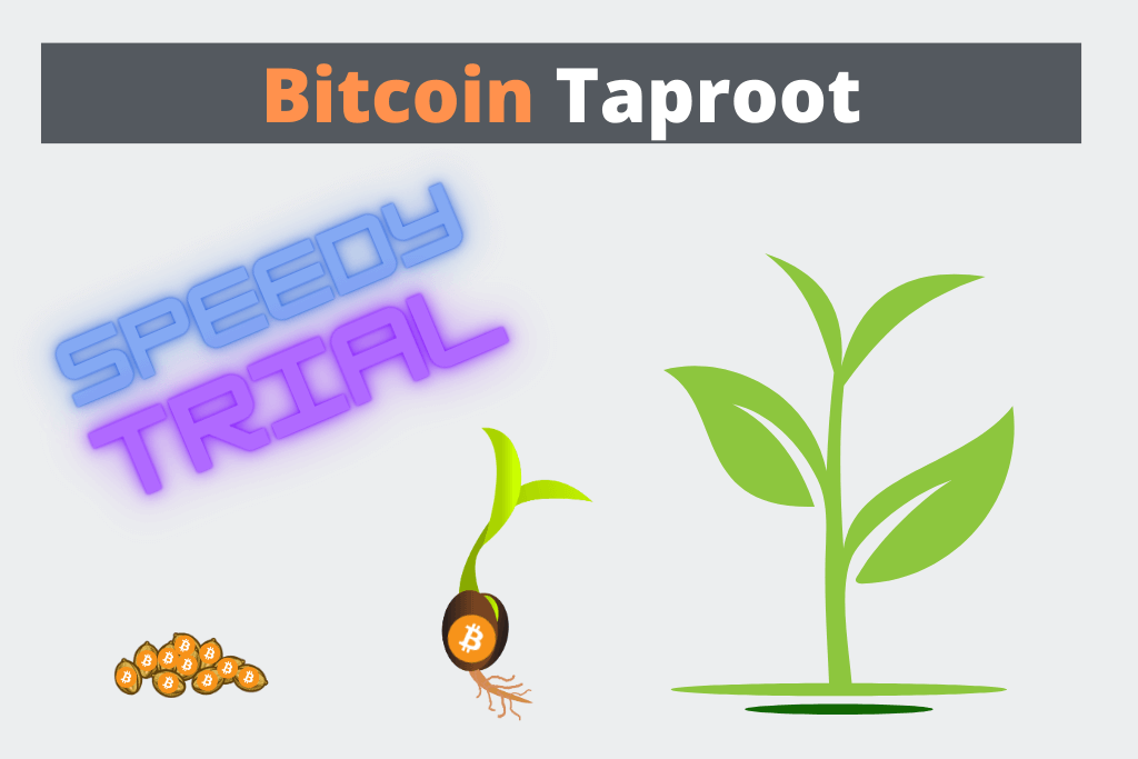 Bitcoin Taproot